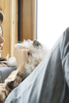 只在梨花春雨处(N)世藏白鸟
